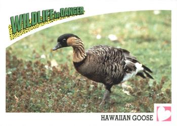 1992 Panini Wildlife In Danger #100 Hawaiian Goose Front