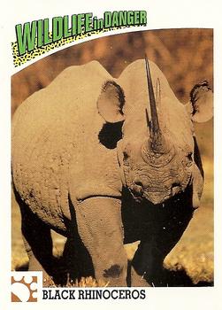 1992 Panini Wildlife In Danger #7 Black Rhinoceros Front