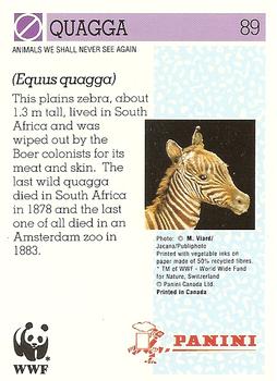 1992 Panini Wildlife In Danger #89 Quagga Back