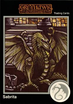 1991 TSR Advanced Dungeons & Dragons - Silver #537 Sabrita, Shadow Dragon Front
