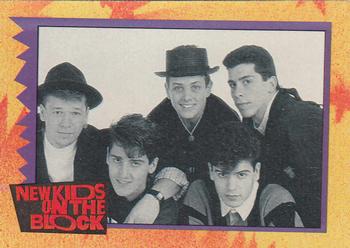 1989 Topps New Kids on the Block #13 NKOTB Quiz! Question #3 Front