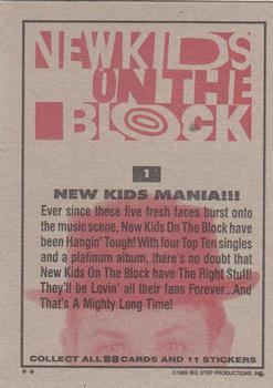 1989 Topps New Kids on the Block #1 New Kids Mania!!! Back