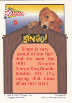 1991 Pacific Bingo #9 Don't pop now! Back