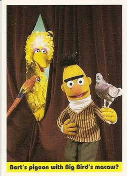 1992 Idolmaker Sesame Street #73 Bert's pigeon with Big Bird's macaw? Front