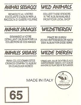 1994 Tougaroo Wild Animals Stickers #65 Caracal Back