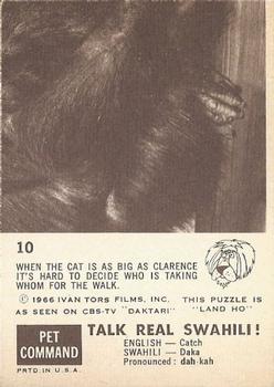 1966-67 Philadelphia Daktari #10 Taking the Cat for a Walk Back