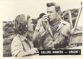 1966-67 Philadelphia Daktari #6 Calling Wameru - Urgent Front
