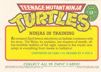 1989 O-Pee-Chee Teenage Mutant Ninja Turtles #13 Ninjas in Training Back