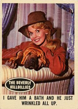 1963 Topps Beverly Hillbillies #18 I gave him a bath and he just wrinkled all up. Front