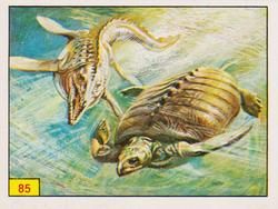 1986 Panini Dinosaurs/Prehistoric Animal Stickers #85 Archelon Front