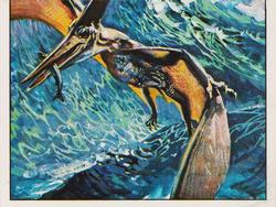 1986 Panini Dinosaurs/Prehistoric Animal Stickers #91 Pteranodon Front