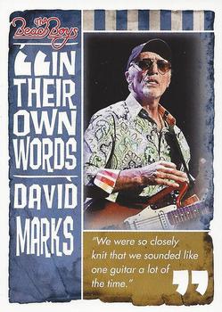2013 Panini The Beach Boys - In Their Own Words #13 David Marks Front