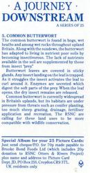 1990 Brooke Bond A Journey Downstream #5 Common Butterwort Back