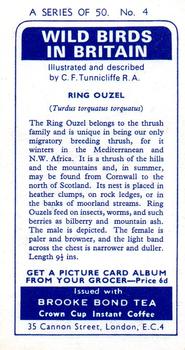 1965 Brooke Bond Wild Birds in Britain #4 Ring Ouzel Back