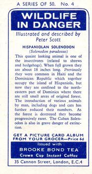1963 Brooke Bond Wildlife In Danger #4 Hispaniolan Solenodon Back