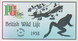 1994 Brooke Bond 40 Years of Cards (Black Back) #5 British Wild Life Front