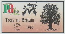 1994 Brooke Bond 40 Years of Cards (Black Back) #17 Trees in Britain Front