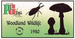 1994 Brooke Bond 40 Years of Cards (Black Back) #34 Woodland Wildlife Front