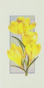 1977 Craven Black Cat Flowers All Year Round #1 CROCUS specie - E.P. Bowles Front
