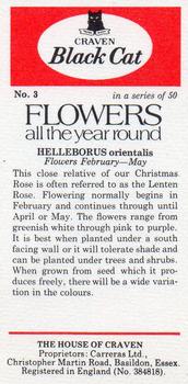 1977 Craven Black Cat Flowers All Year Round #3 GEKKEBIRYS orientalis Back