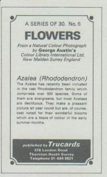 1970 Trucards Flowers #6 Azalea Back