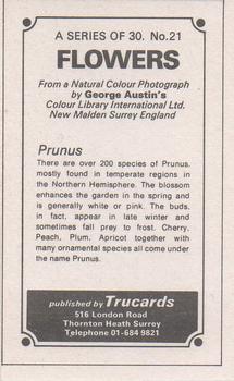 1970 Trucards Flowers #21 Prunus Back