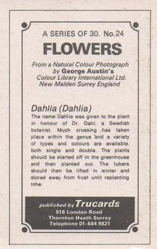 1970 Trucards Flowers #24 Dahlia Back
