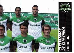 2015 Panini Liga BBVA Bancomer Apertura Stickers #339 Team Photo Front