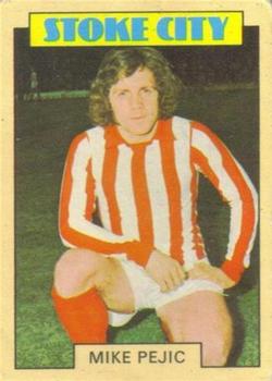 1973-74 A&BC Chewing Gum #14 Mike Pejic Front