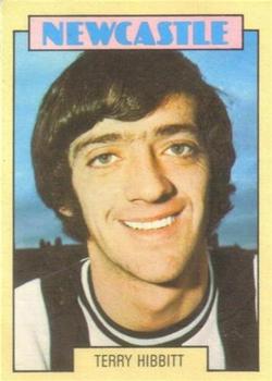 1973-74 A&BC Chewing Gum #52 Terry Hibbitt Front