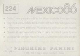 1986 Panini World Cup Stickers #224 Mike Sweeney / Paul James Back