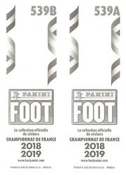 2018-19 Panini FOOT #539 Fabien Lemoine / Pierre-Yves Hamel Back