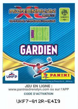 2016-17 Panini Adrenalyn XL Ligue 1 #55 Remy Vercoutre Back