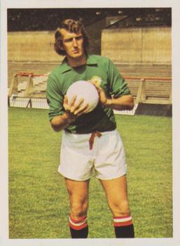 1974-75 Panini Top Sellers #197 Alex Stepney Front
