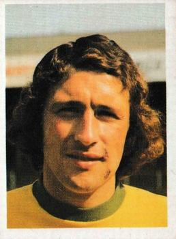 1976-77 Panini Football 77 (UK) #223 Alan Black Front