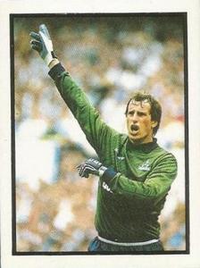 1987-88 Daily Mirror/Sunday Mirror Soccer 88 Stickers #241 Ray Clemence Front