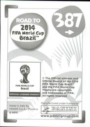 2013 Panini Road to 2014 FIFA World Cup Brazil Stickers #387 Kolo Toure Back
