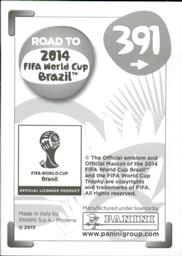 2013 Panini Road to 2014 FIFA World Cup Brazil Stickers #391 Yaya Toure Back