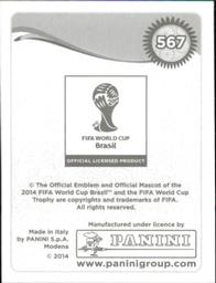 2014 Panini FIFA World Cup Brazil Stickers #567 Vincent Kompany Back