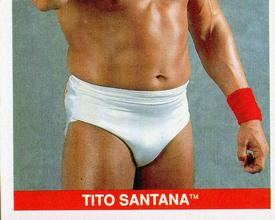 1990 Merlin WWF Superstars Stickers #67 Tito Santana Puzzle Front