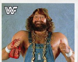 1990 Merlin WWF Superstars Stickers #211 Hillbilly Jim Puzzle Front
