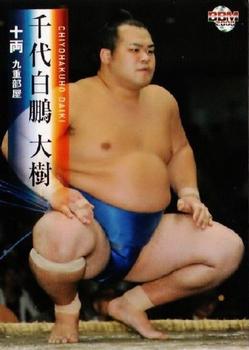2008 BBM Sumo #50 Chiyohakuho Daiki Front