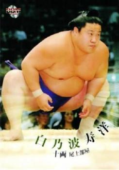 2010 BBM Sumo #66 Shirononami Nobuhiro Front