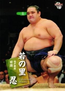 2011 BBM Sumo #19 Wakanosato Shinobu Front