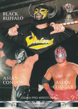 2006-07 BBM Pro Wrestling #084 Black Buffalo / Asian Condor / Asian Cougar Front