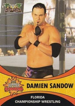 2011 FCW Summer Slamarama #NNO Damien Sandow Front