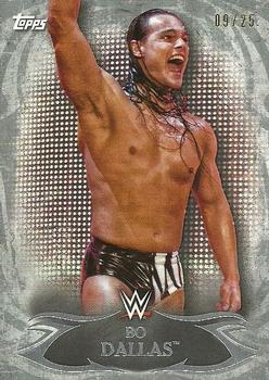 2015 Topps WWE Undisputed - Silver #38 Bo Dallas Front