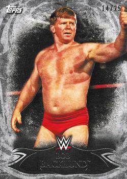 2015 Topps WWE Undisputed - Silver #72 Bob Backlund Front
