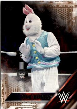 2016 Topps WWE - Bronze #11 The Bunny Front