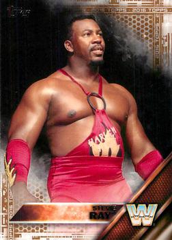 2016 Topps WWE - Bronze #94 Stevie Ray Front